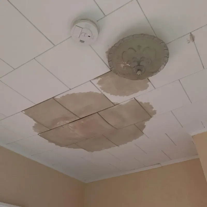 Ceiling Water Damage Repair in Fiskdale, MA