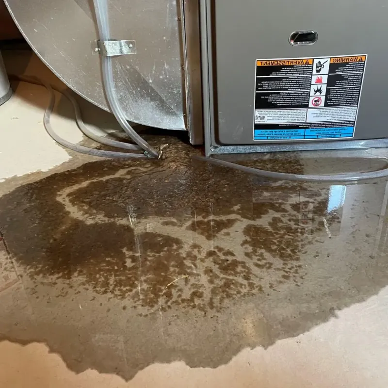 Pipe Burst and Leak Restoration in Fiskdale, MA