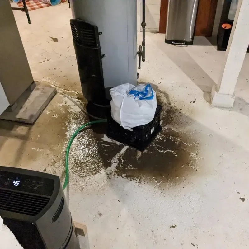 Sewage Backup Cleanup Service in Fiskdale, MA